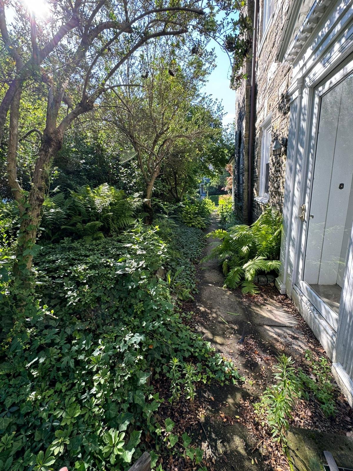 Yard cleanup work by Green Force Property Services